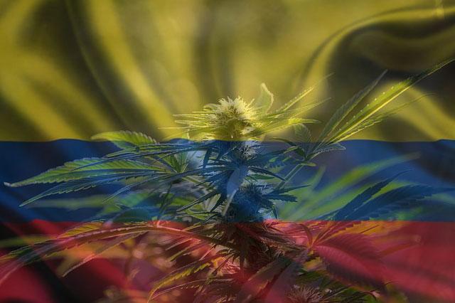 Colombia legalización marihuana