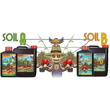 soil a+b top crop