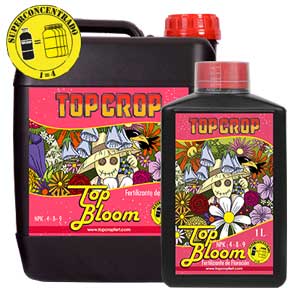 Top Bloom top crop