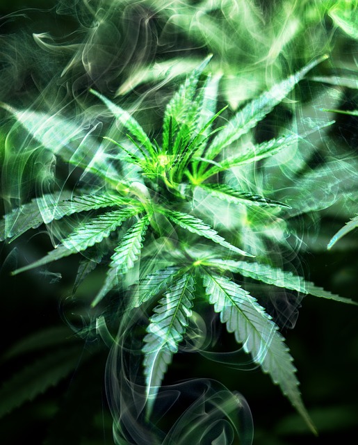 Propuestas regulación cannabis