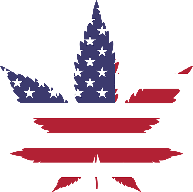 Washington a favor de la legalización de la marihuana
