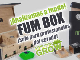 fum box características cajas