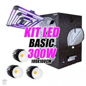 kit led basic 300w
