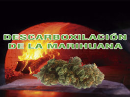 descarboxilar la marihuana