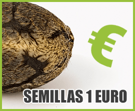 semillas 1 euro