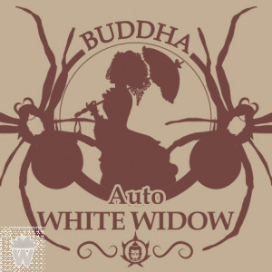 BUDDHA AUTO WHITE WIDOW
