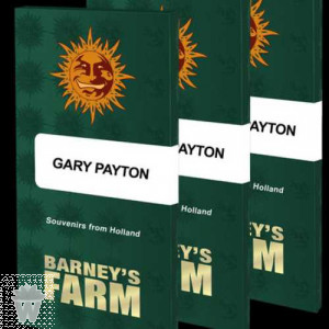 GARY PAYTON  BARNEY'S FARM SEEDS