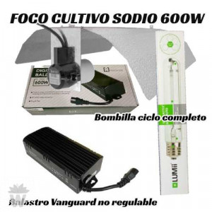 KIT 600W HPS BALASTRO ELECTRÓNICO NO REGULABLE