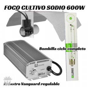 KIT 600W HPS BALASTRO ELECTRÓNICO REGULABLE