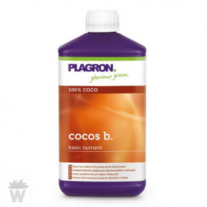 COCO B PLAGRON