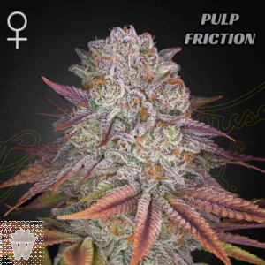 PULP FRICTION  GREEN HOUSE