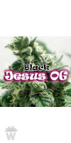 BLACK JESUS OG DR UNDERGROUND