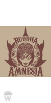 BUDDHA AMNESIA BUDDHA SEEDS CLASSICS