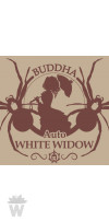 BUDDHA AUTO WHITE WIDOW BUDDHA SEEDS CLASSICS