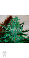 FRUITY CHRONIC JUICE (INDICA LINE) DELICIOUS SEEDS 