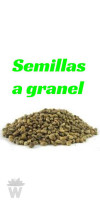 SEMILLAS MOBY DICK GRANEL-03