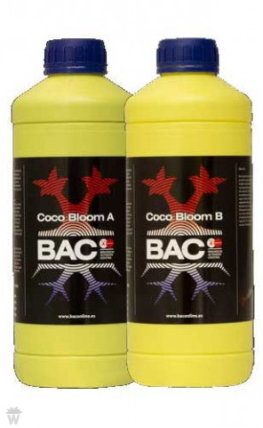 COCO BLOOM A+B BAC