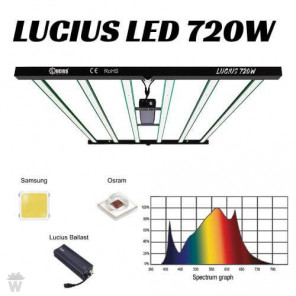 Lucius Led 720W 2.9 