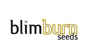 blimburn seeds
