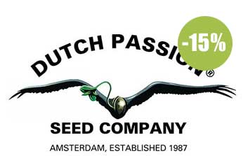 Dutch Passion Seeds regulares 