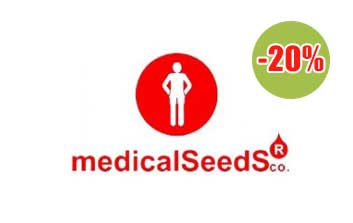 medical seeds regulares 