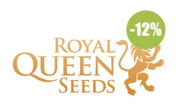 royal queen seeds regulares