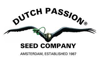 Dutch Passion Seeds