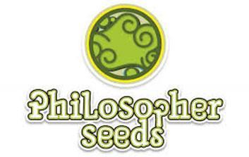 philosopher seeds autofloreceintes