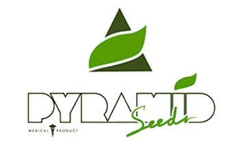 pyramid seeds autofloreceintes