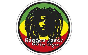 reggae seeds