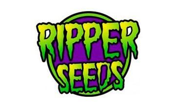 ripper seeds