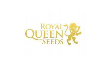Royal Queen seeds