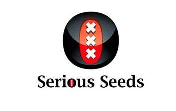 serious seeds autofloreceintes