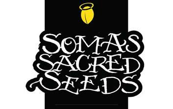 soma seeds